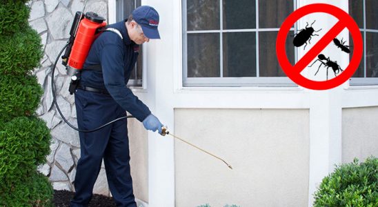 Söğüt Kemirgen İlaçlama böcek ilaçlama ve haşere kontrolü — ilaclama-tr.com